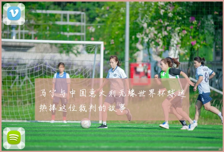 马宁与中国意大利无缘世界杯球迷热捧这位裁判的故事
